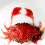 Adena Profile Picture