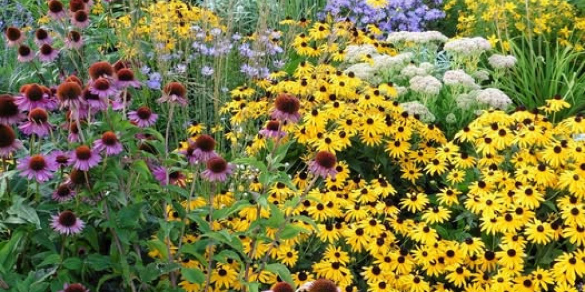 Your each day Giants trivia video game, Friday model