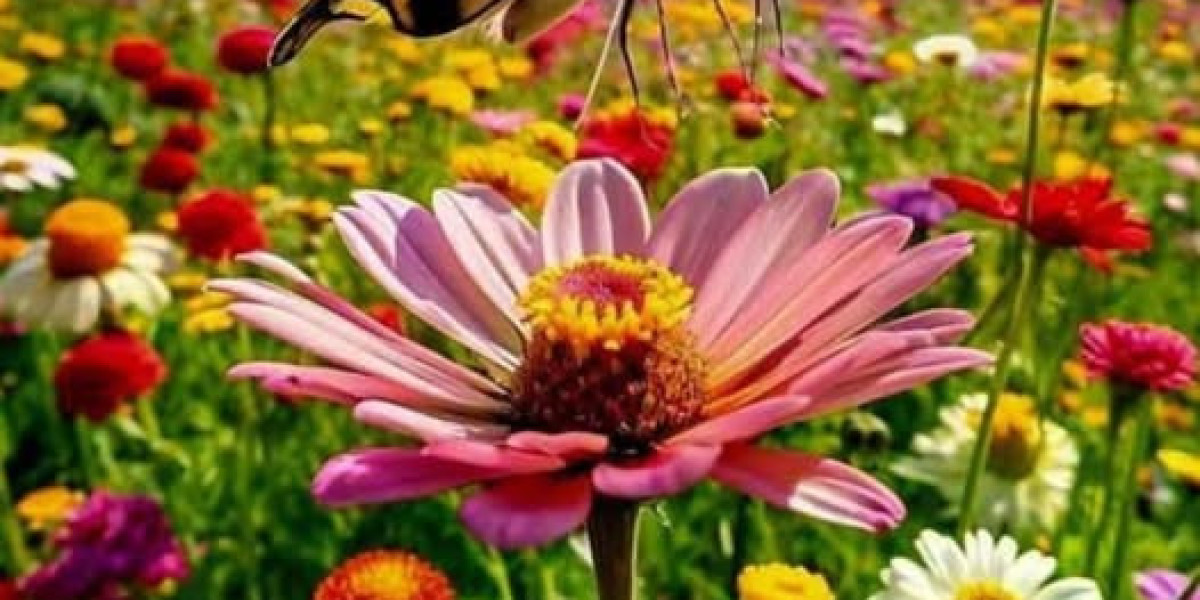 Duval Rundown: Reacting toward the Jaguars' reduction towards the Lions Doug accomplished?