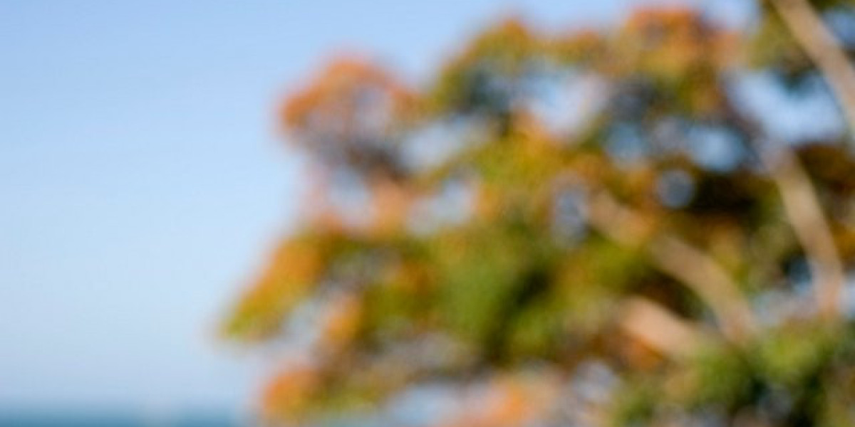 Best Real Money Online Casinos in Australia for 2025