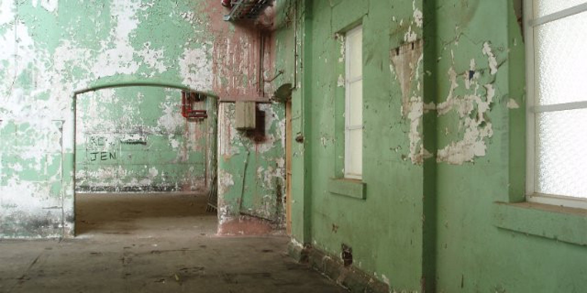 Zoome Casino Login Australia: Get Casino no Deposit Bonus