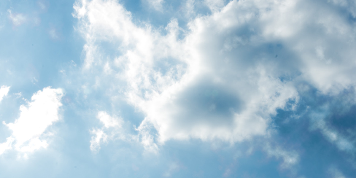 Sugar Daddy Sites in Hawaii: A more In-depth Look on The Growing Pattern