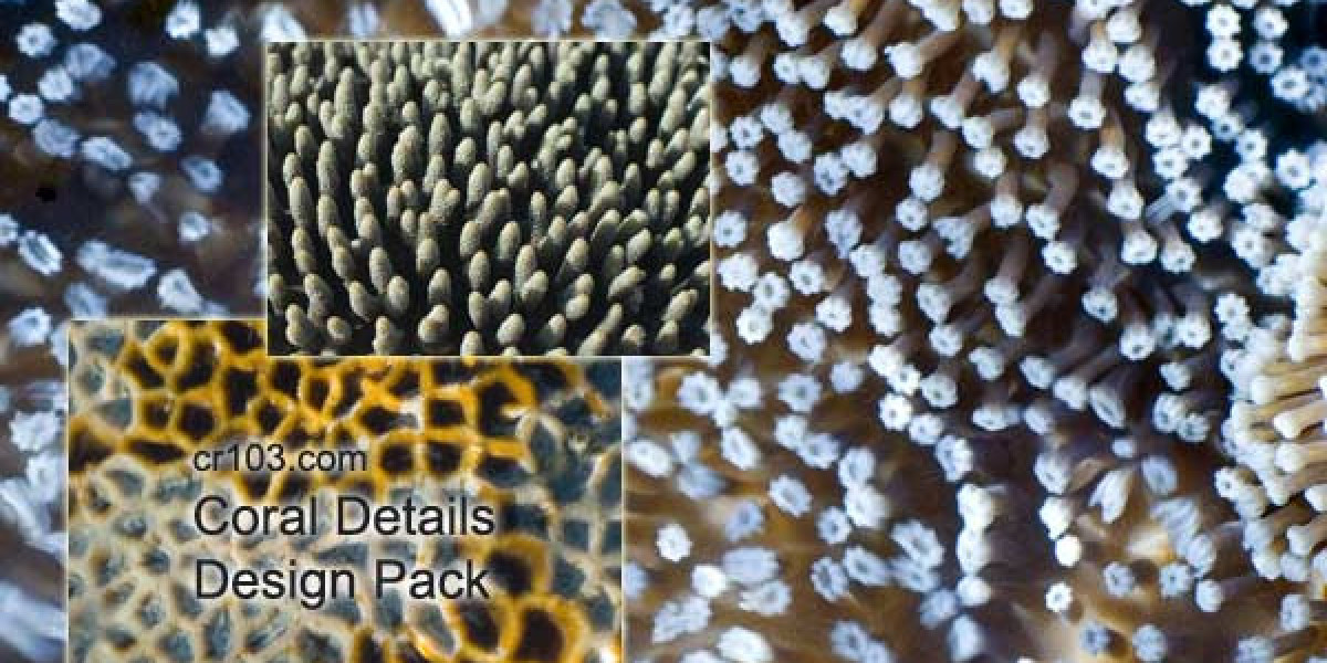 Ricky Casino is Rated 3 2 out of 5 in 2025 4 Bonuses