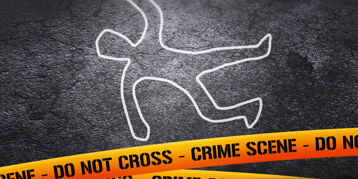 Understanding Speedy Loans: A Case Study On No Credit Check Financing