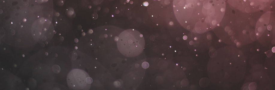 silvianettles4 Cover Image